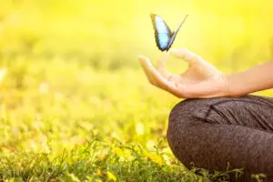 Morning ritual meditation hands with blue butterfly