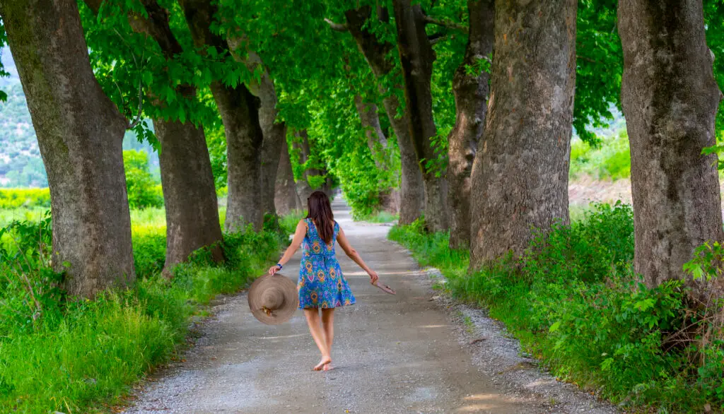 Woman walking barefoot along a peaceful tree-lined path.