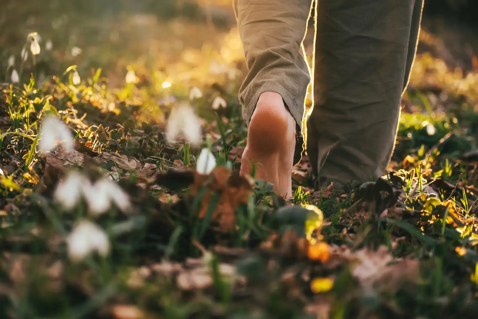 Autumn Roots seasonal practices and reflection